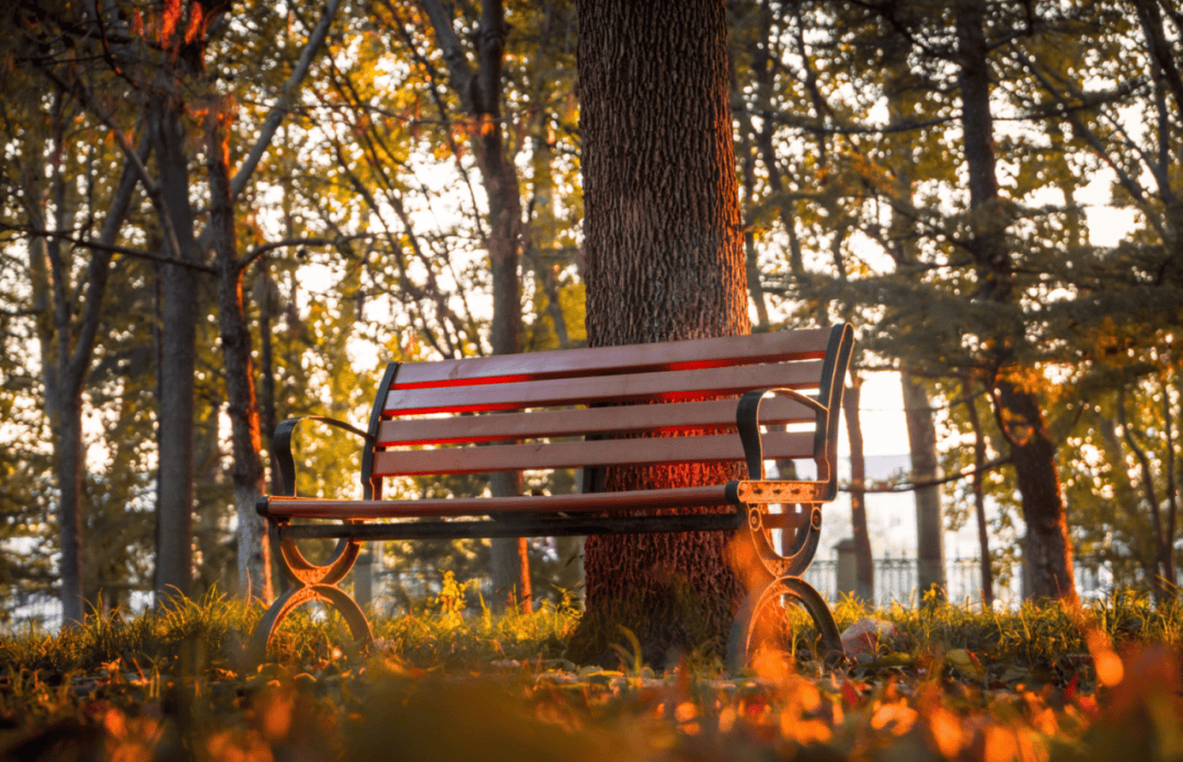 mobenn@yahoo.fr tweet media