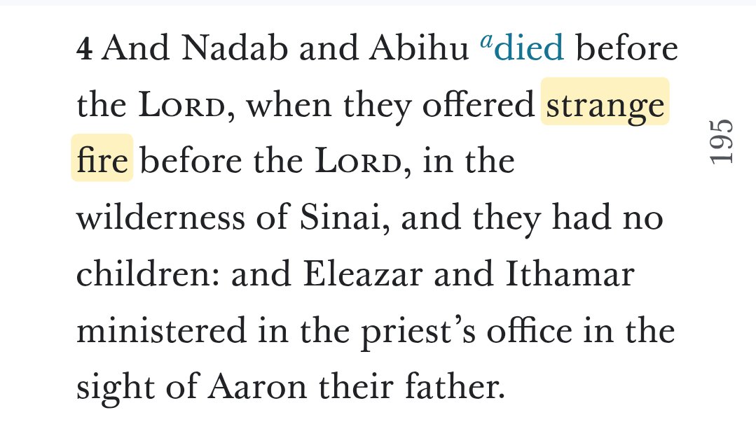 InquisitiveMuse tweet media