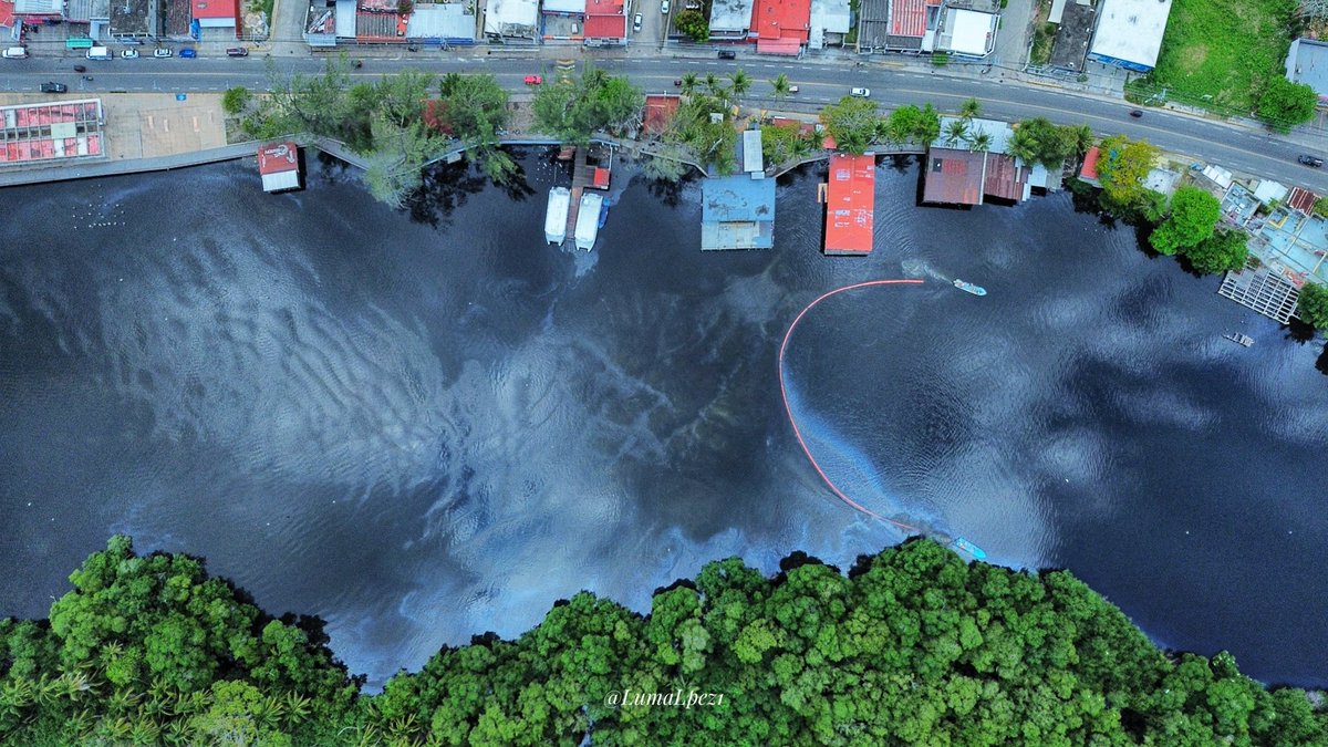 Soy Luisma tweet media