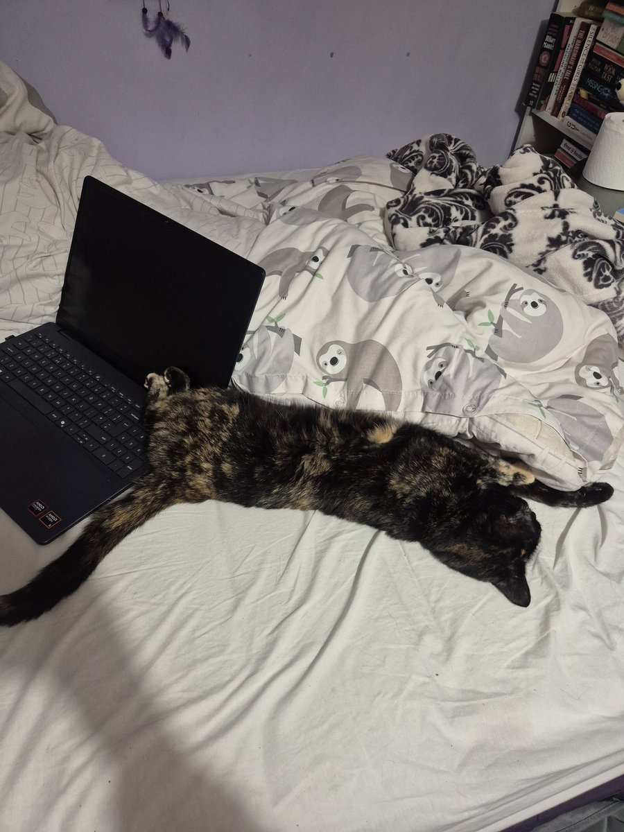 Littol Clee 🧡🖤 tweet media