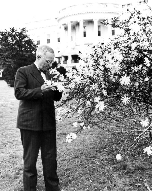 Truman Library Institute tweet media