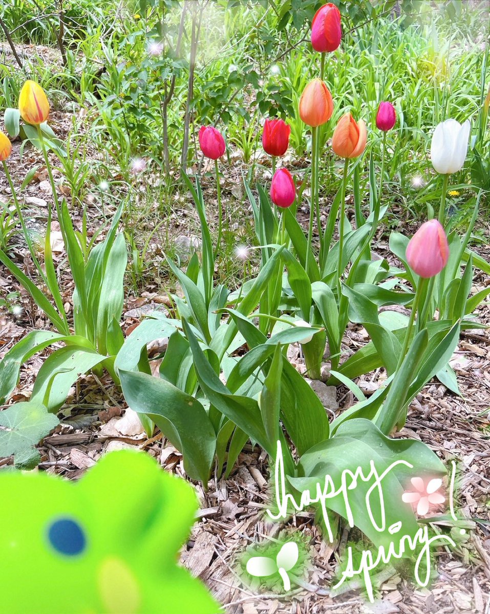 TOFIE 🌱☁️ tweet media