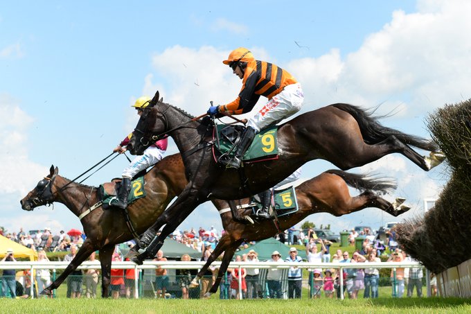 🐦Pigeon🐎Island🐦 tweet media