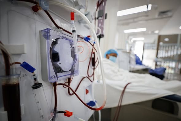 Issste Campeche tweet media