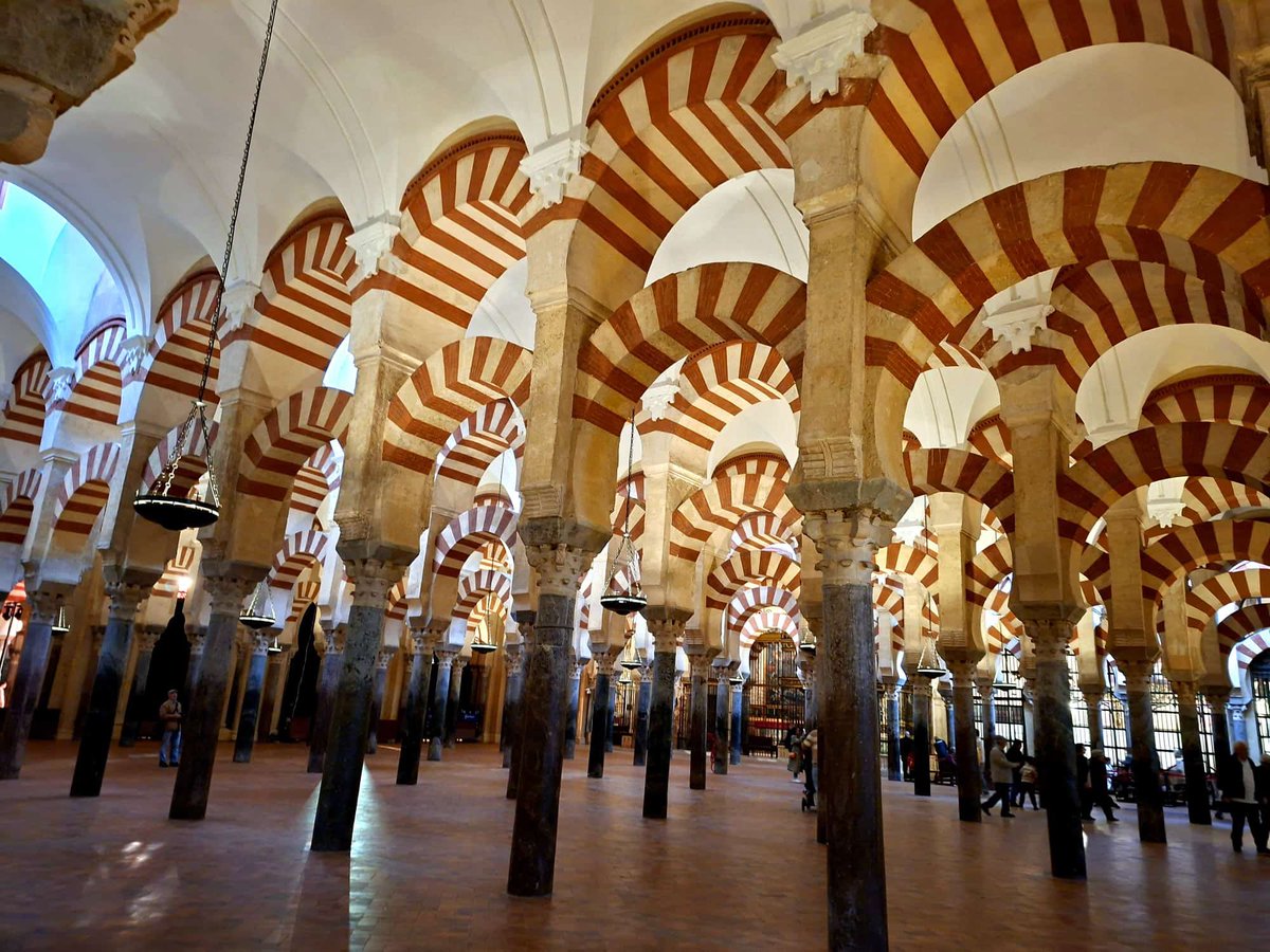 IES Antonio Tovar 🍏 tweet media