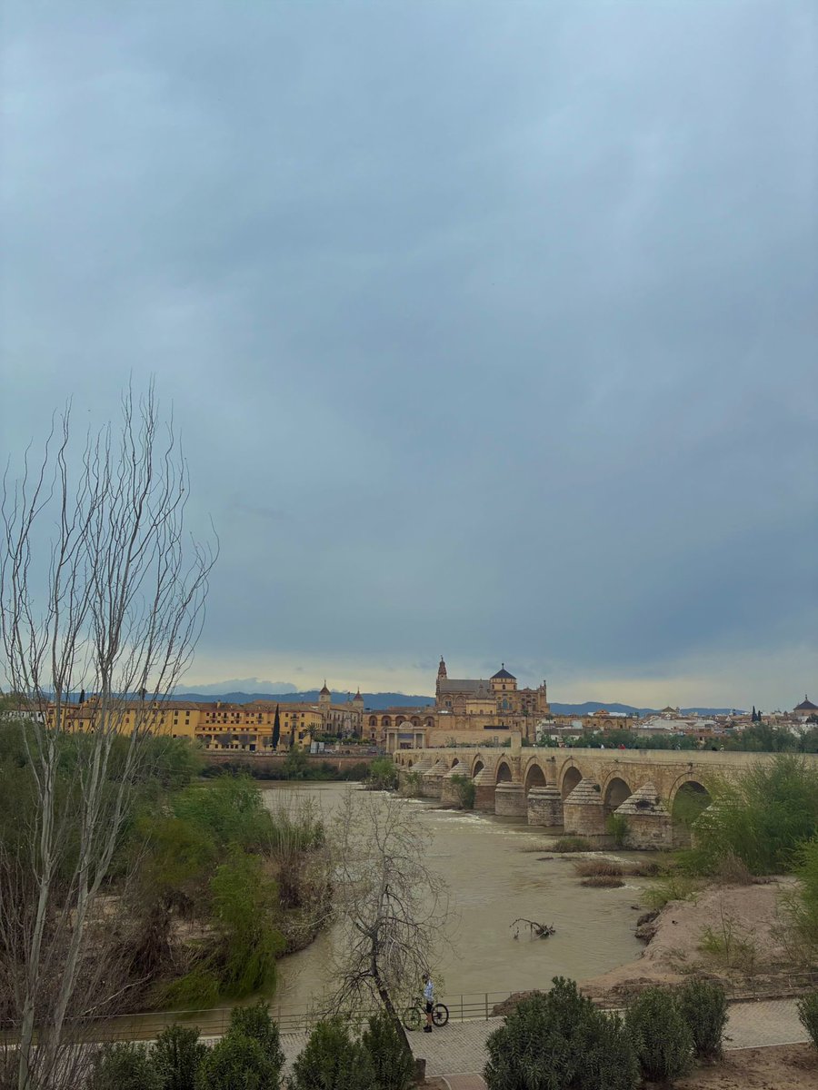 IES Antonio Tovar 🍏 tweet media