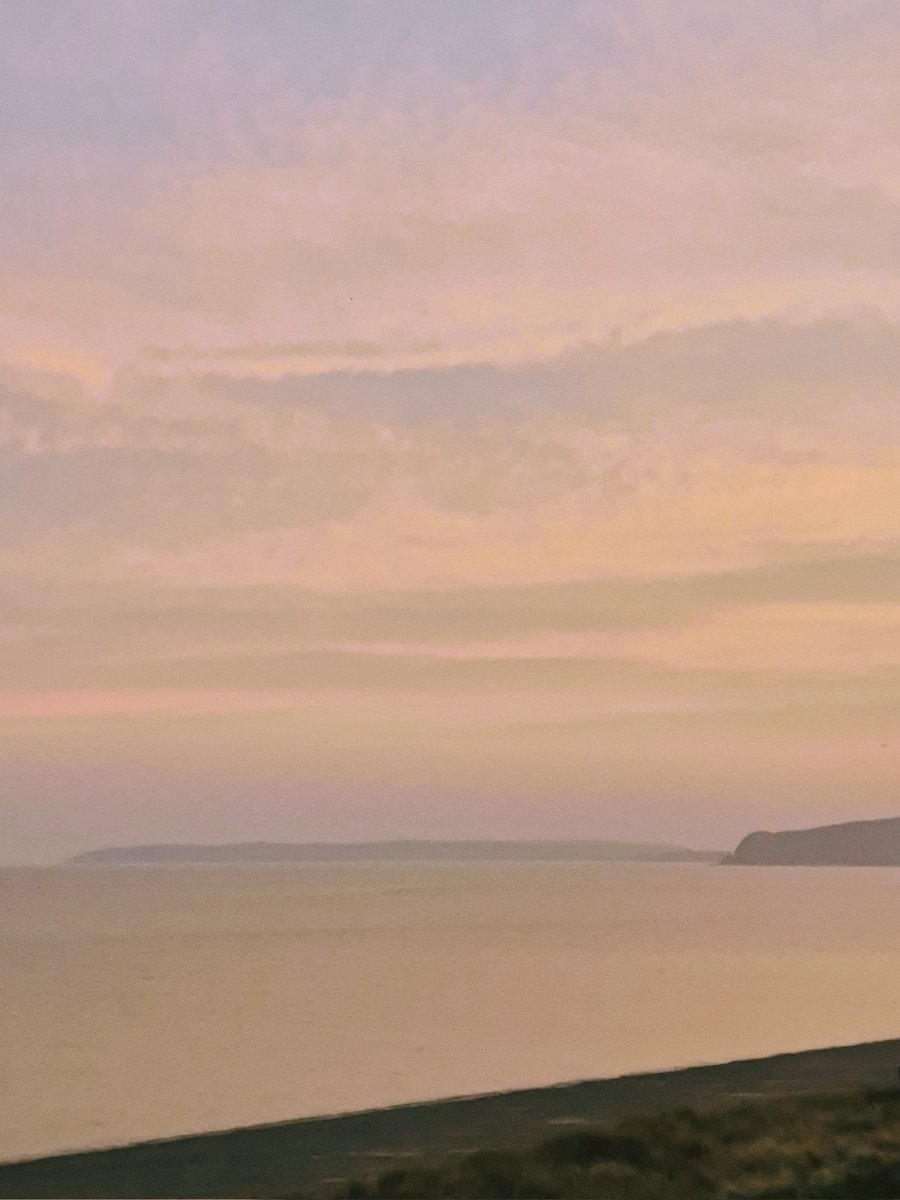 Lois Zellas tweet media