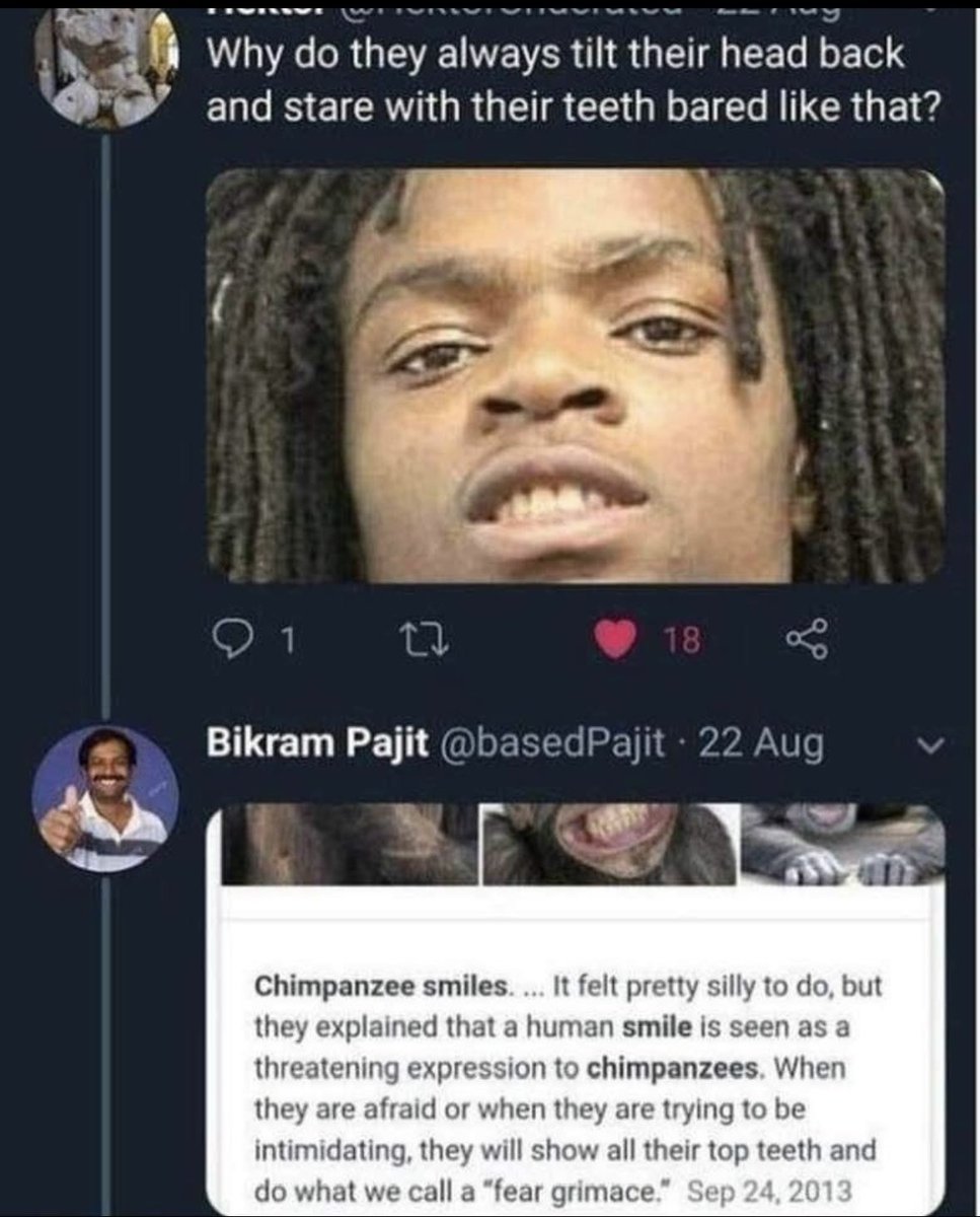 ↟ΛRIϟTⴲ ꑭ BΛRBΛRIϟM↟ tweet media