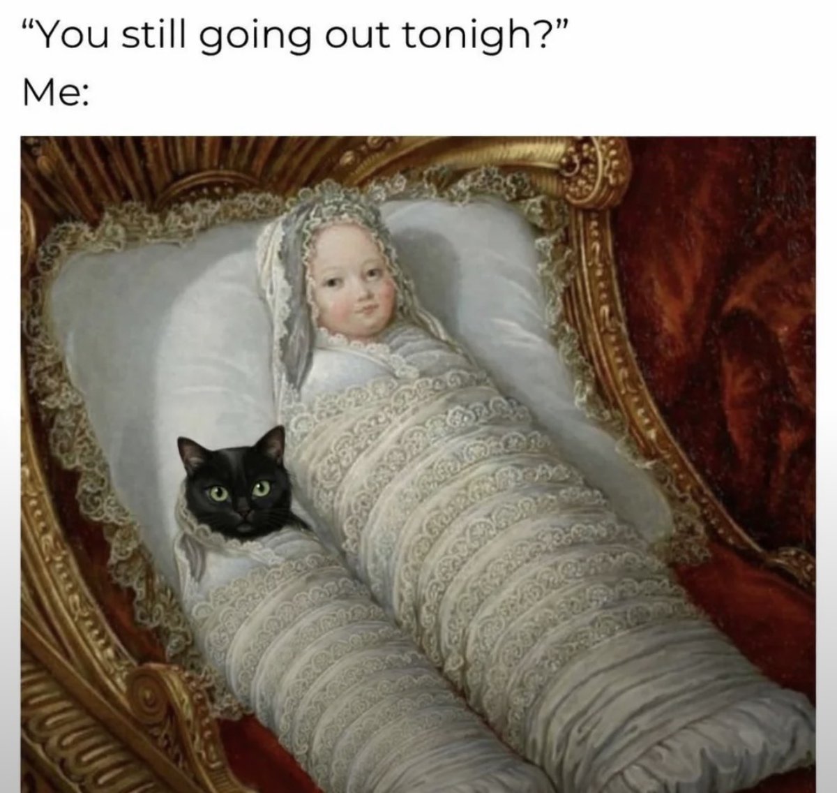 cats with powerful impression 🐾 tweet media