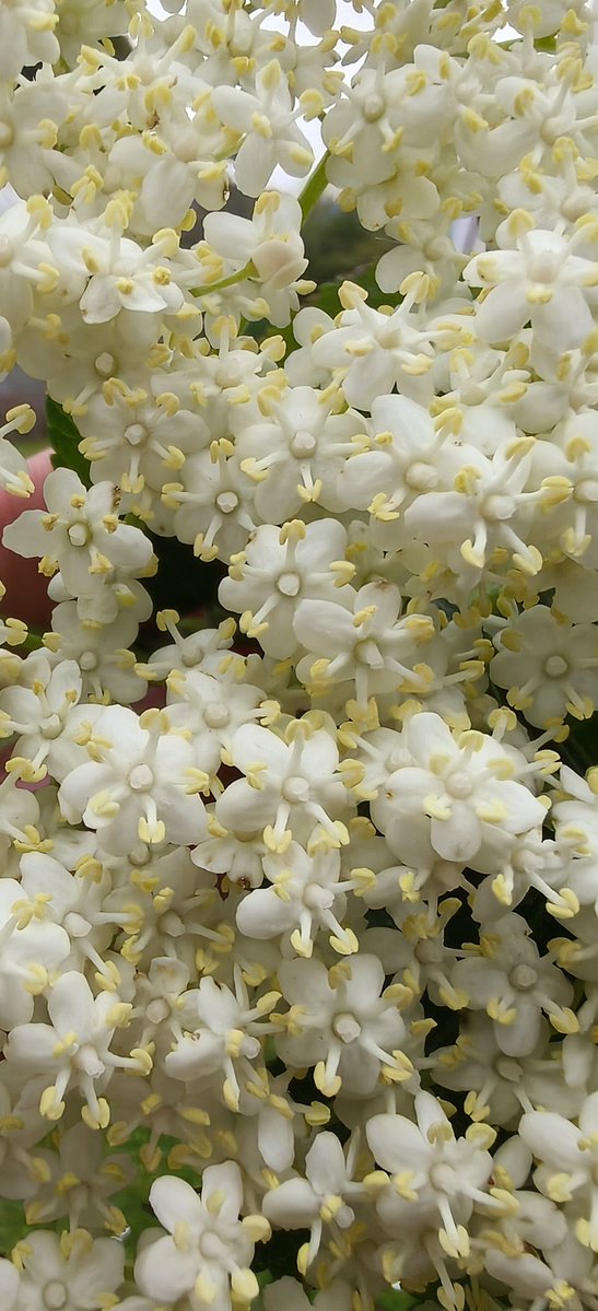 Ricardo FG tweet media