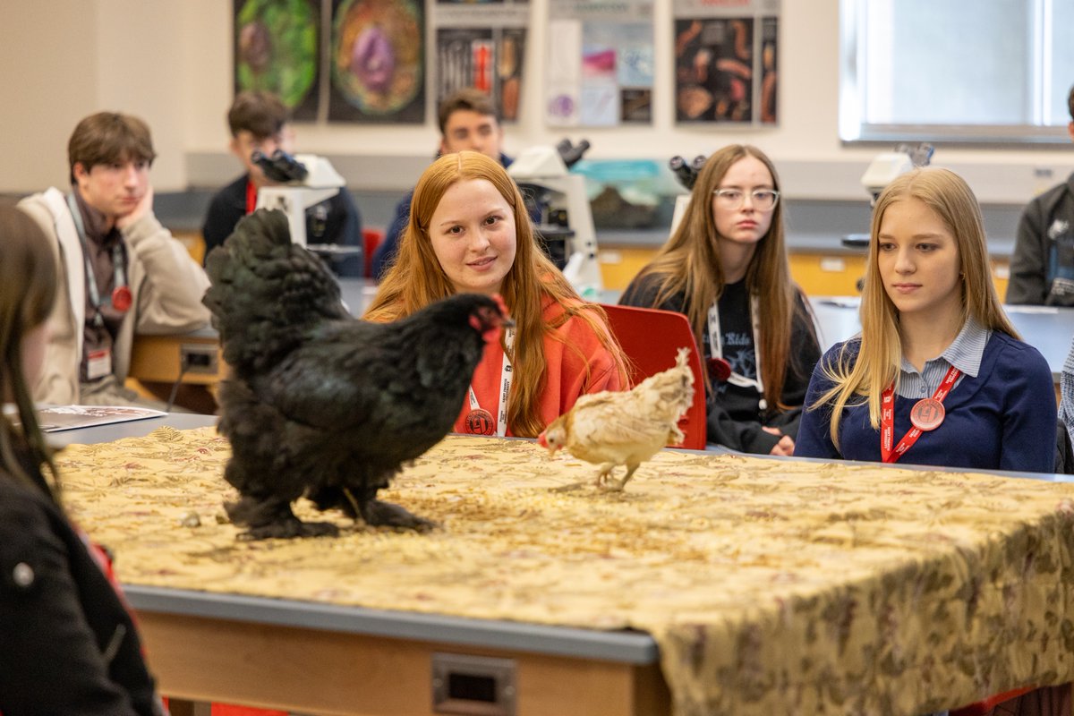 Saint Francis U tweet media