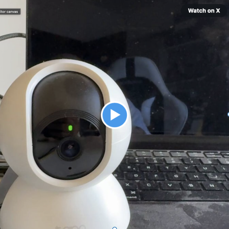 eleven red pandas tweet media