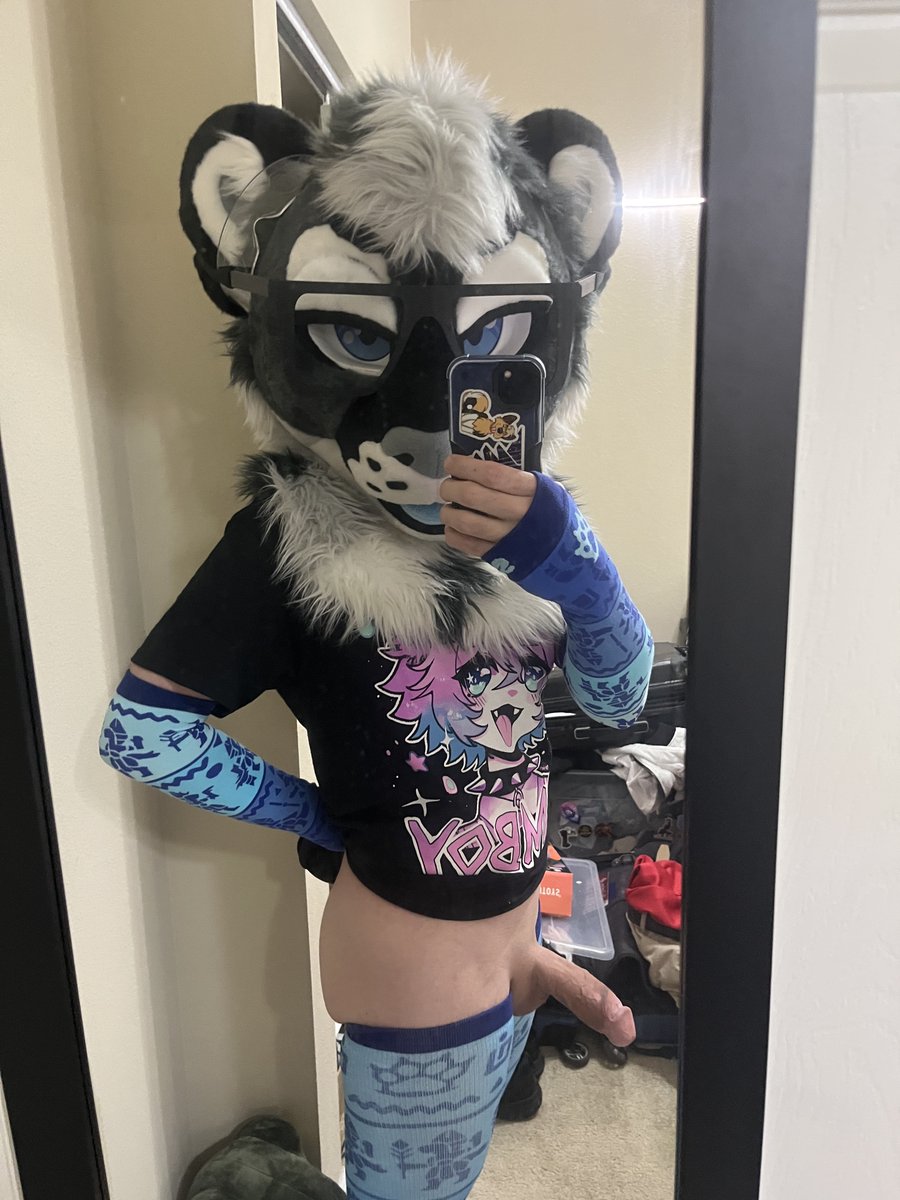 Sly Cougar (AD) 🔜 TFF, FWA, MP tweet media