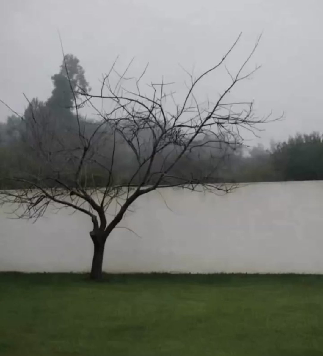 cpt dank tweet media