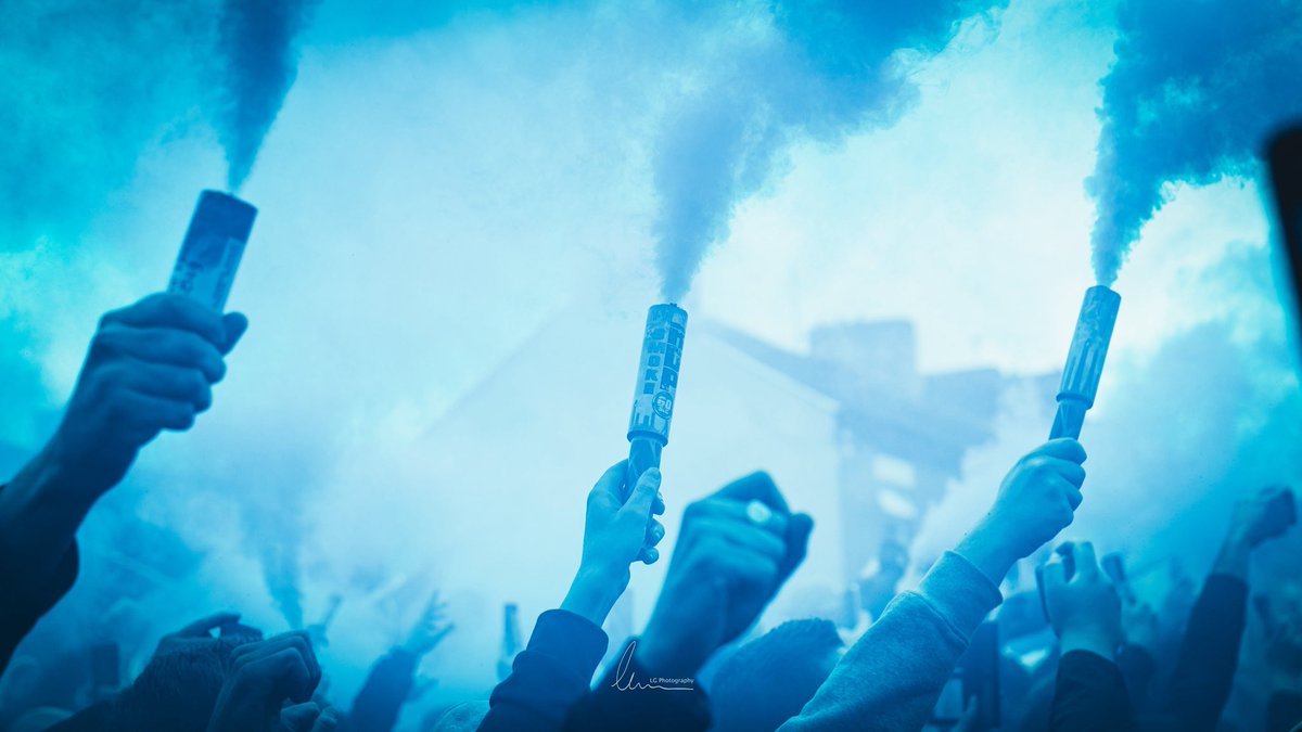 Lewis Guy tweet media