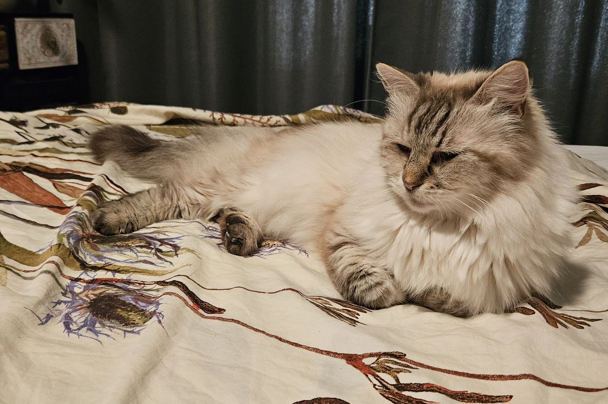 Casper & Yuri tweet media