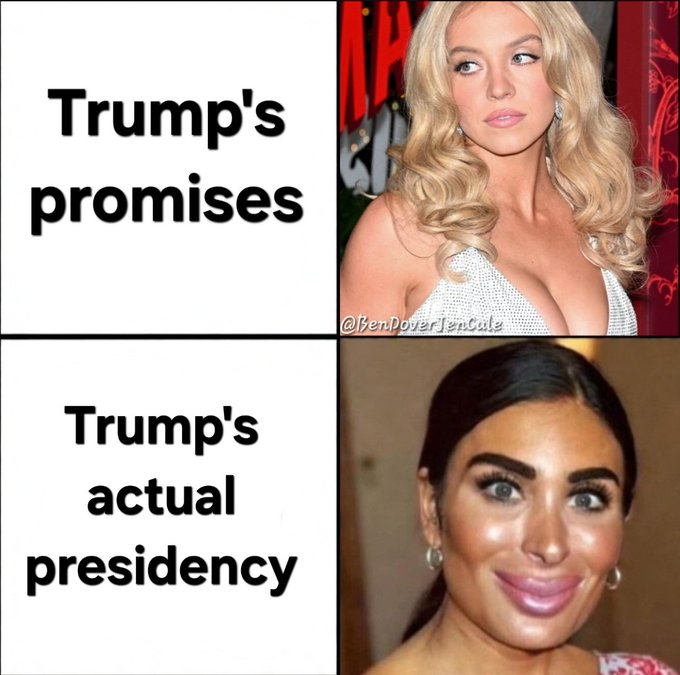 Jim Lopardo - Independent, Unintimidated tweet media