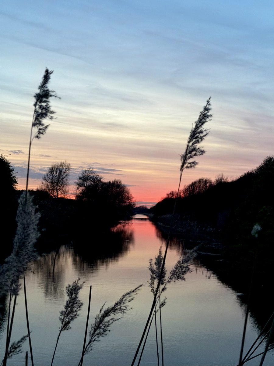 Kelly 👱🏻‍♀️🌊🔆 tweet media