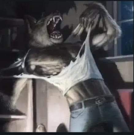 Zhoomker tweet media