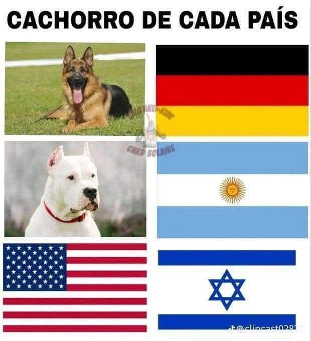 Libro lector tweet media