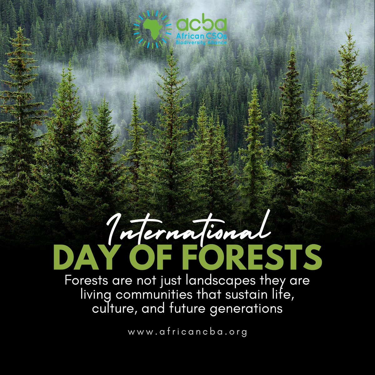 African CSOs Biodiversity Alliance tweet media