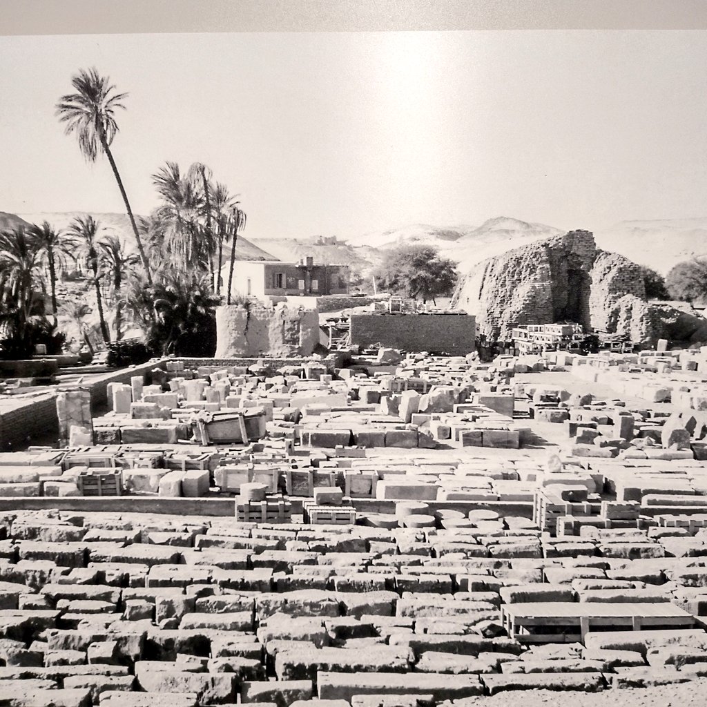 Carlos J. Irisarri tweet media