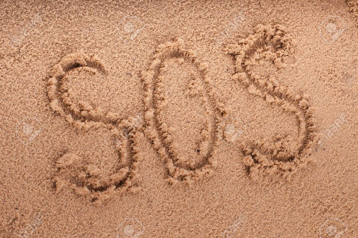 Lisa Brabson. tweet media