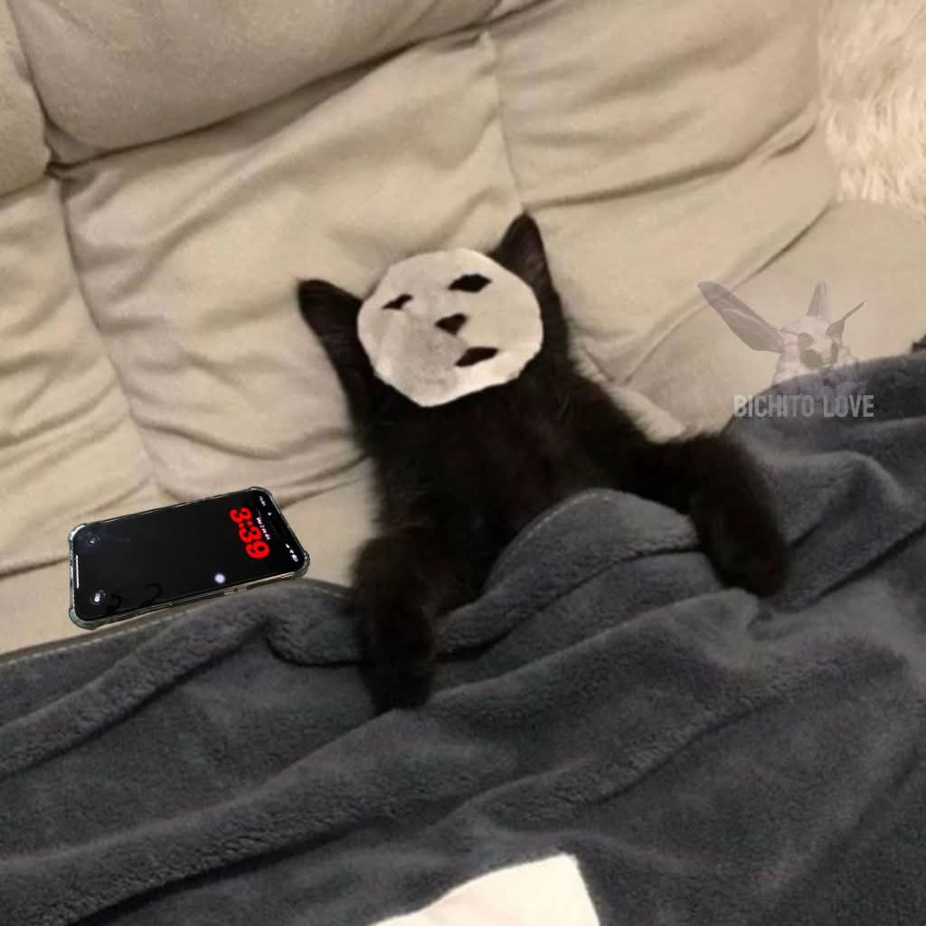 Lonely🥀 tweet media