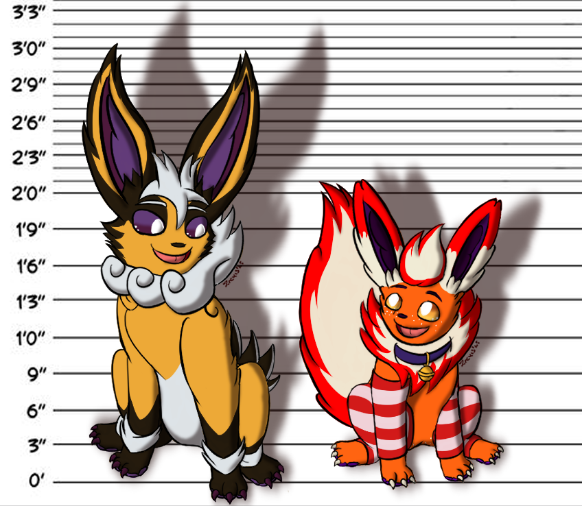 🦊 Metamorphox 🔥 tweet media