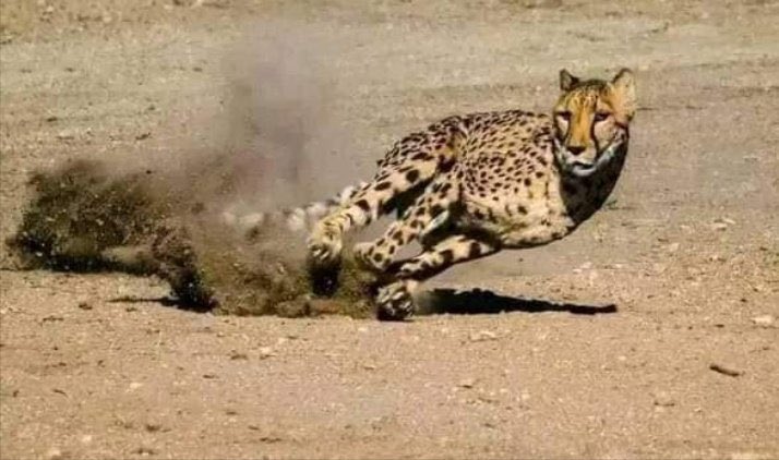 Avi                                      Vs.              reality