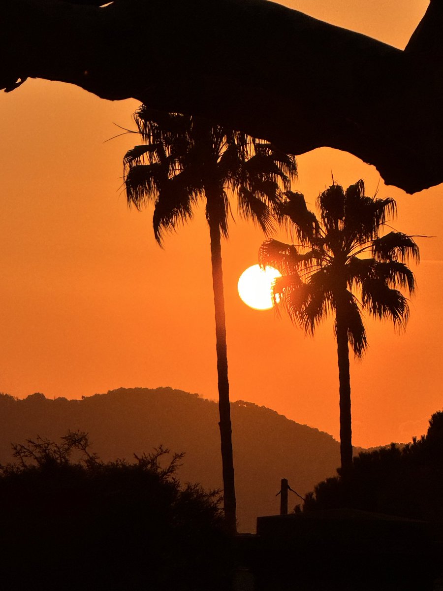 tombarel rené tweet media