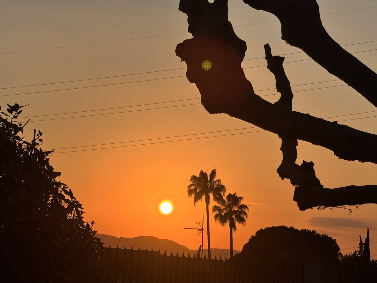 tombarel rené tweet media