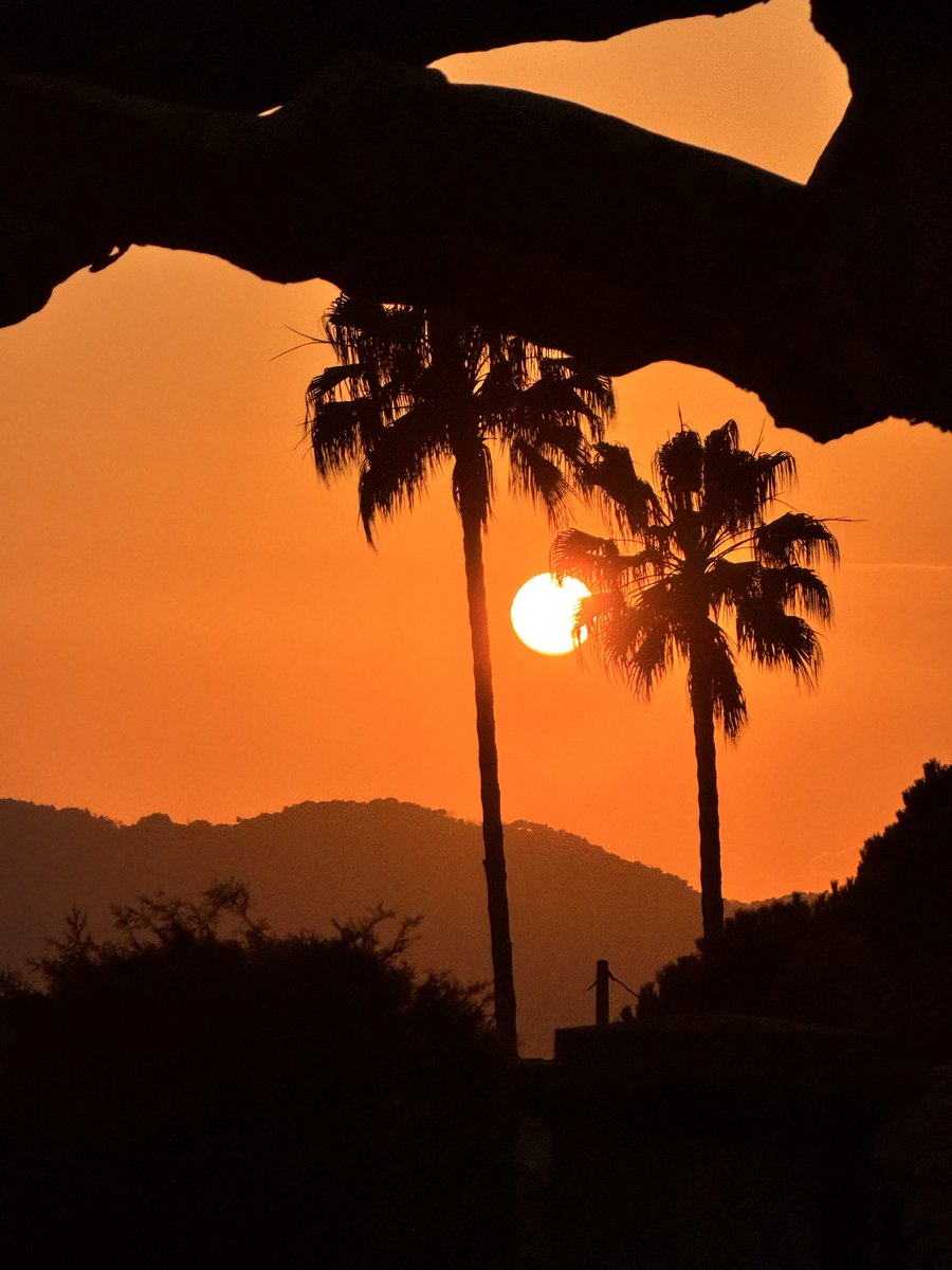 tombarel rené tweet media