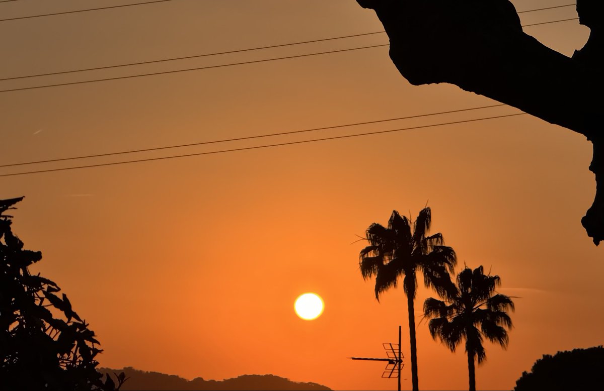 tombarel rené tweet media