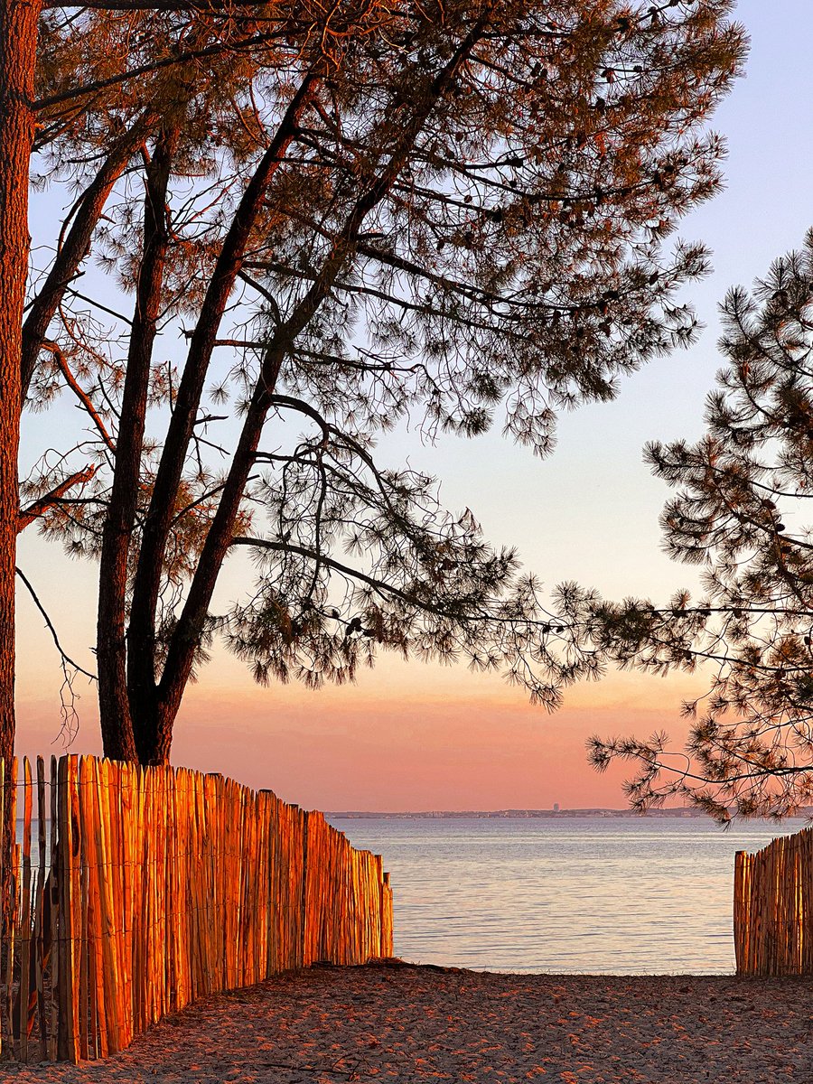 docisa — no #fakemed— tweet media