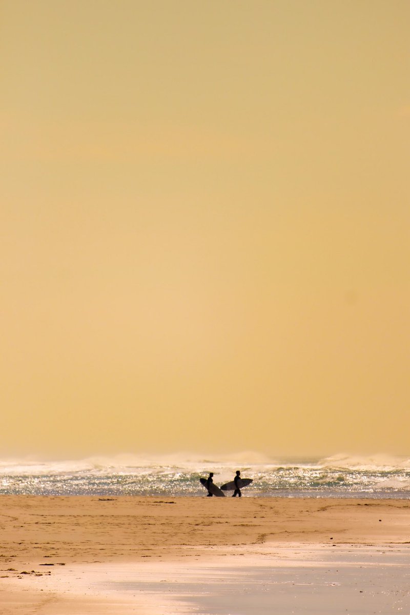 docisa — no #fakemed— tweet media