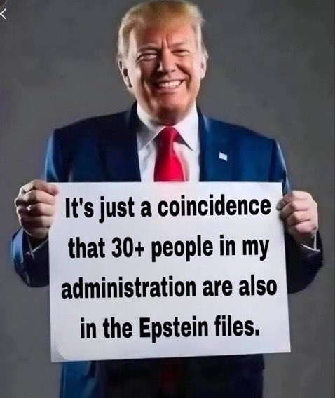 Guitarzan #D4L tweet media