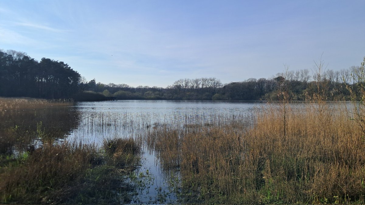 Craig from Devonshire 🚴♂️👋 tweet media