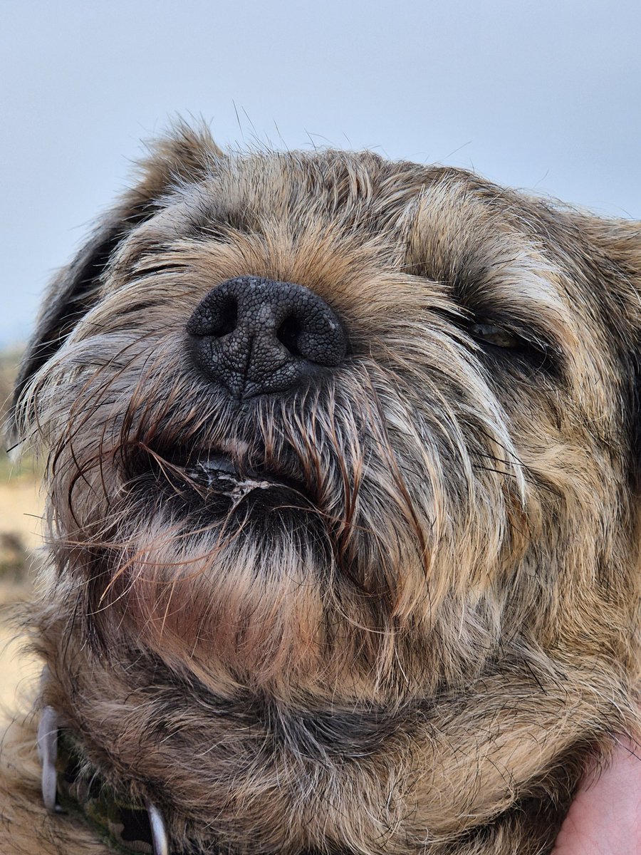 Scott Trafford tweet media