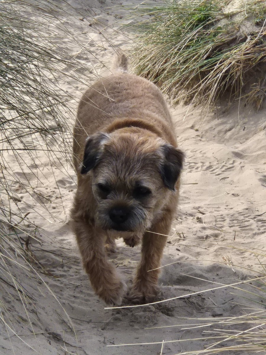 Scott Trafford tweet media