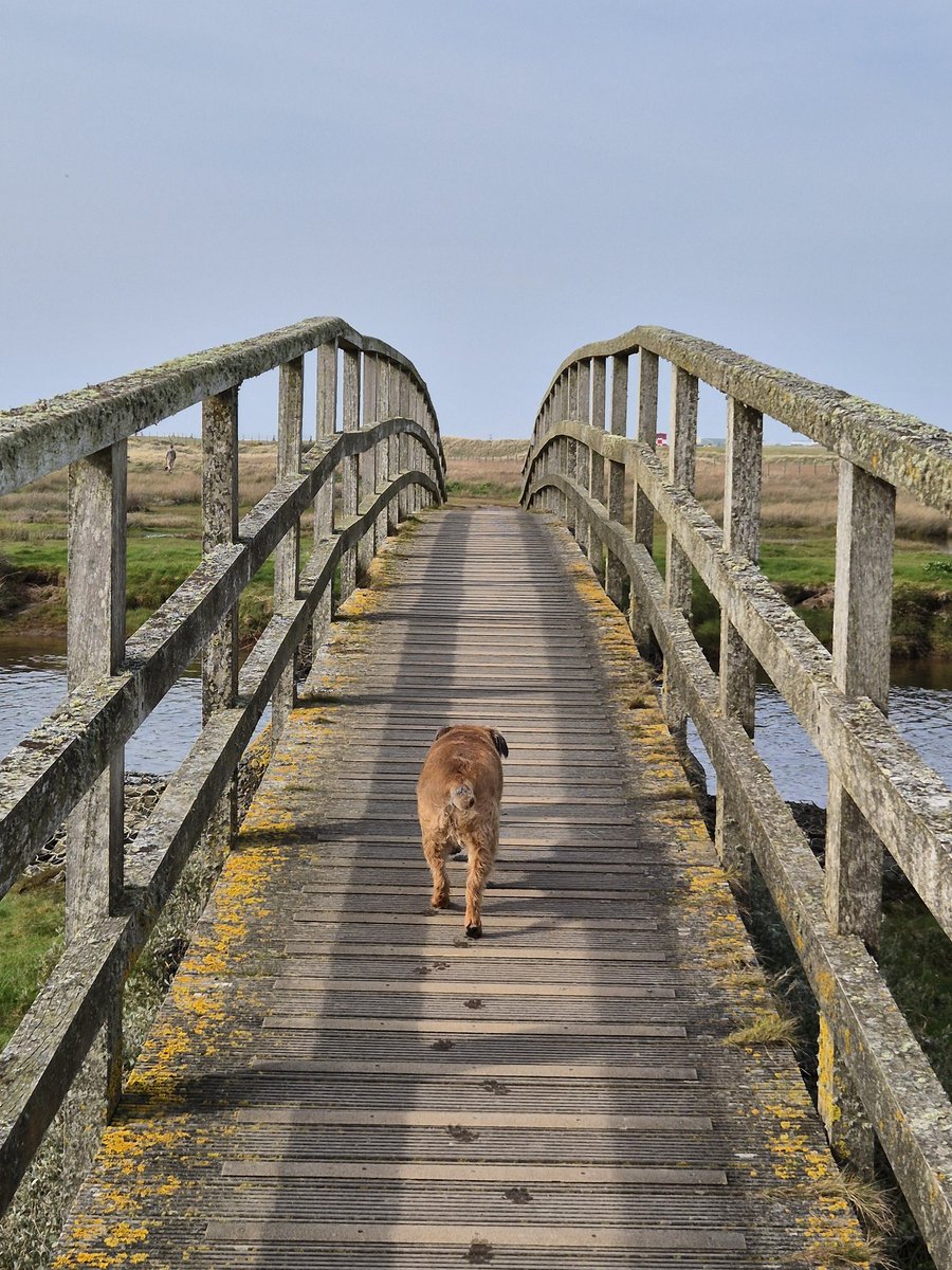 Scott Trafford tweet media