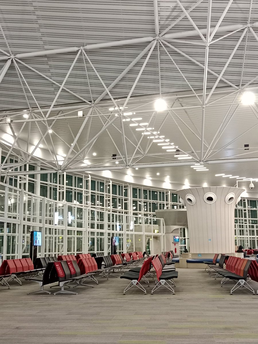 Tyirex 🦖 tweet media