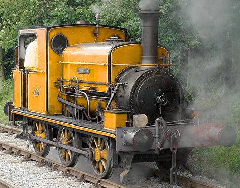 ThatOneGuy tweet media