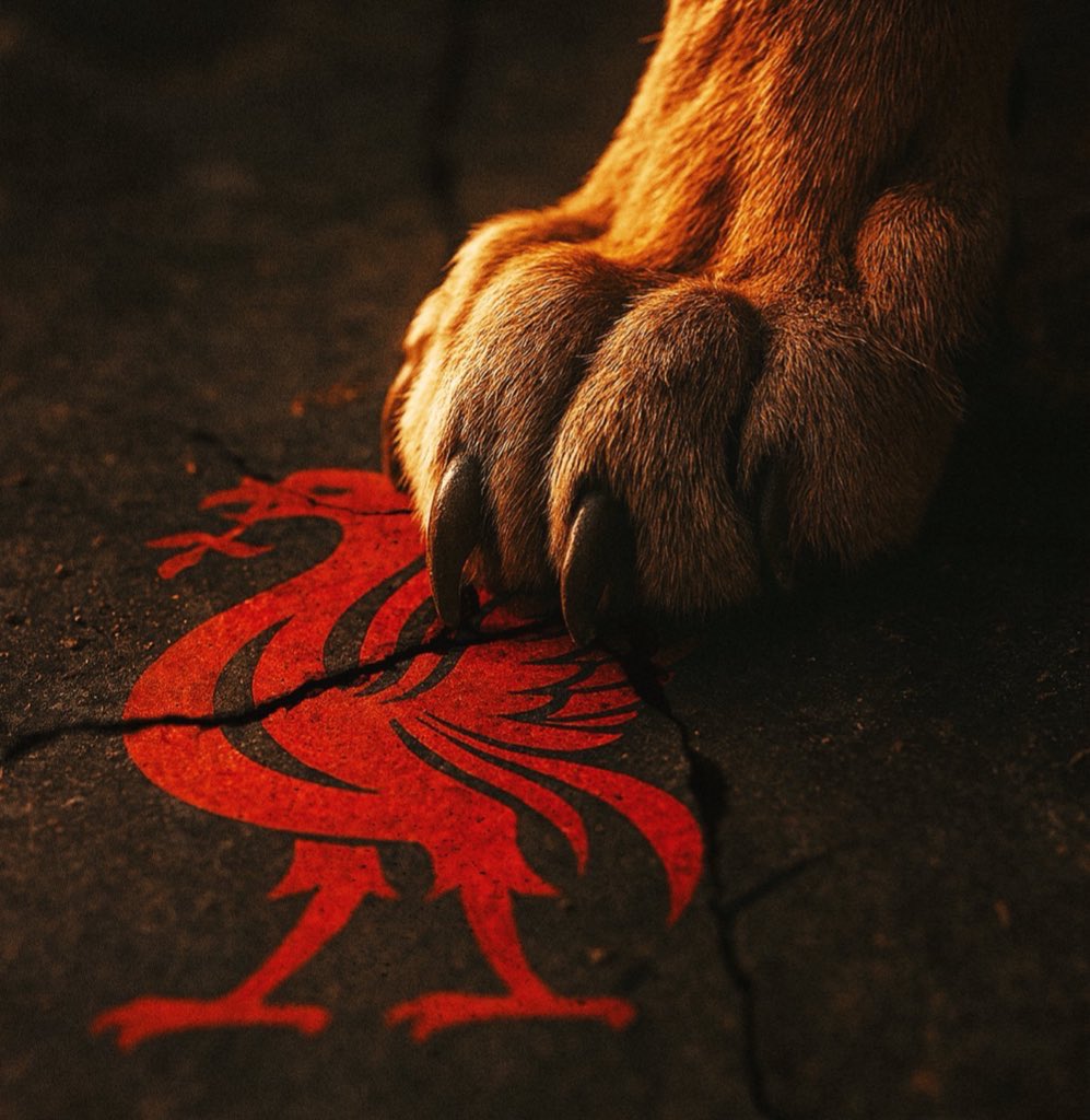 Yellow & Red Report tweet media