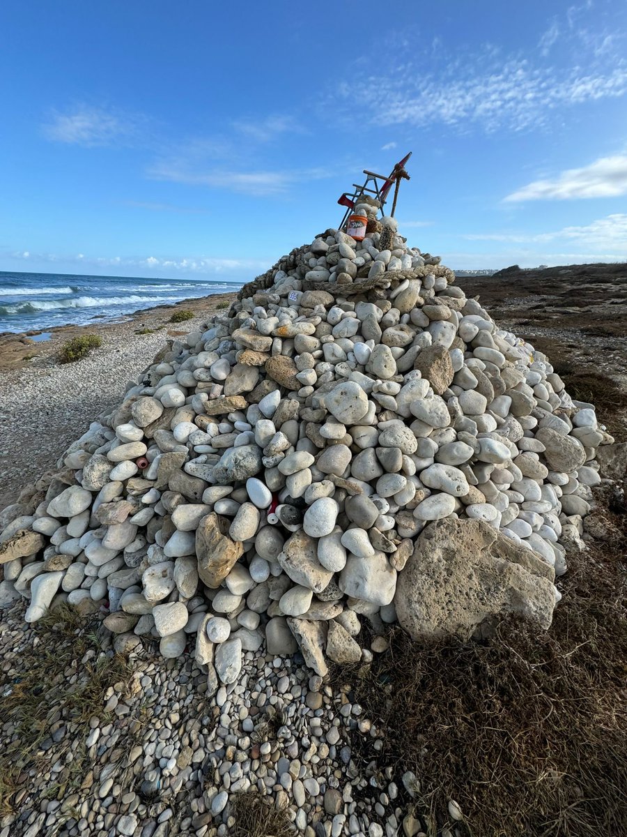 תמיר בן שחר tweet media