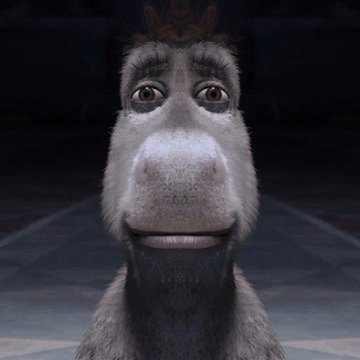 Fuck ICE tweet media