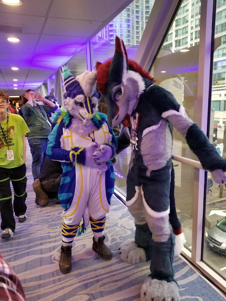 dershep tweet media