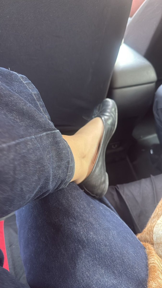 harry estilos tweet media