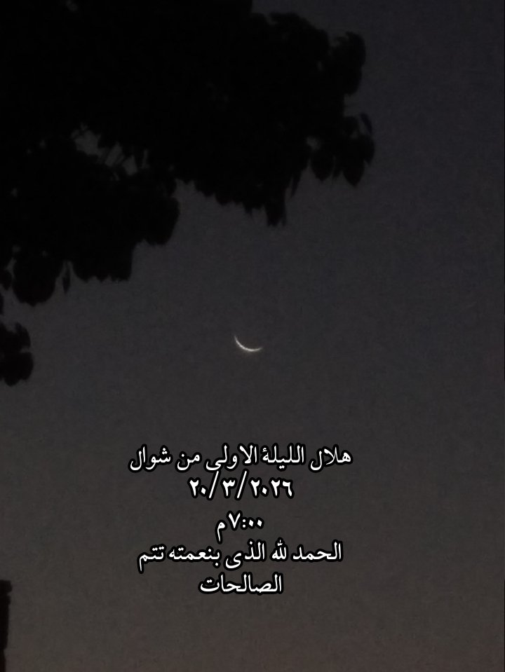 🔴﴿تِبيانًا لِكُلِّ شَيءٍ﴾🔴 tweet media