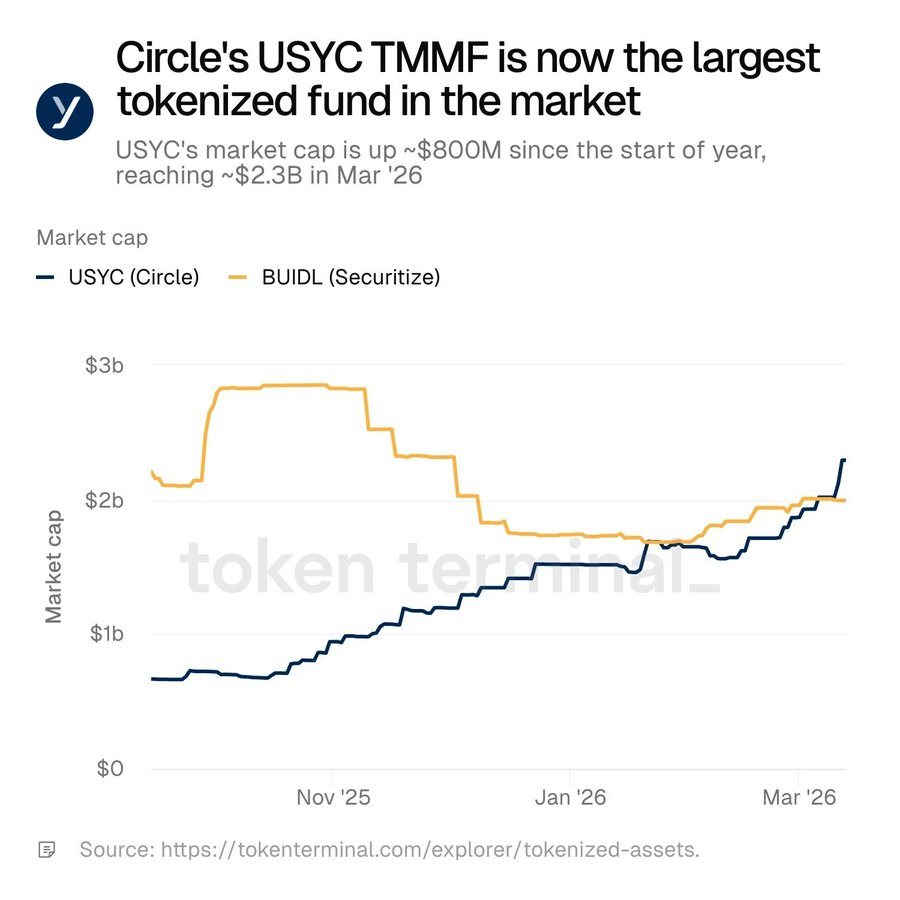 Analog 🌎 tweet media